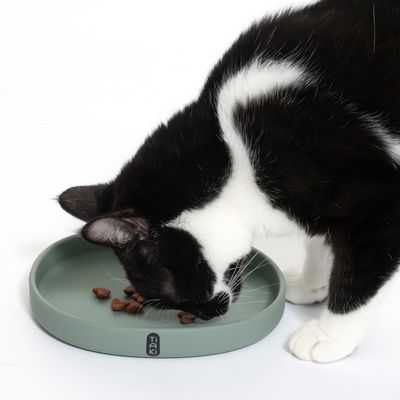 Svartvit katt äter ur en grön matskål med Tiaki-logotyp. Skålen innehåller bruna foderbitar.