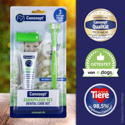 Canosept tandverzorgingsset, 3-delige set met tandpasta Dental Gel en borstel. Aanbevolen door dierenartsen, getest door e-dogs, 98,5% beveelt Canosept aan volgens enquête.
