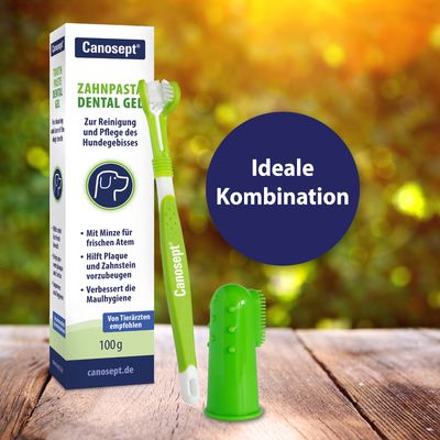 Canosept Zahnpasta Dental Gel met munt, aanbevolen door dierenartsen. Bevat tandenborstel en vingerborstel voor reiniging en verzorging van het gebit van de hond. Ideale combinatie voor frisse adem.