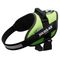 Julius-K9 IDC®-Powergeschirr - neon grün Größe M: Brustumfang 58 - 76 cm
