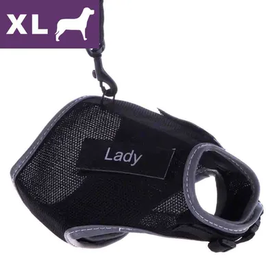 Szelki dla psa z czarną siatką, naszywka z napisem Lady, rozmiar XL widoczny w lewym górnym rogu na fioletowym tle z ikoną psa.