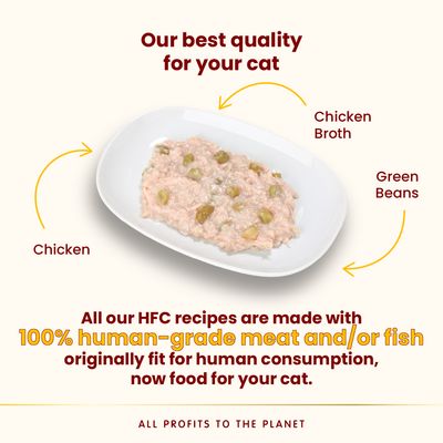 Almo Nature HFC Complete Saver Pack 12 x 70g