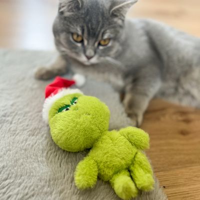 Chat gris allongé près d’une peluche verte avec bonnet de Noël rouge et blanc, posée sur un tapis clair. Matière visible : peluche textile.