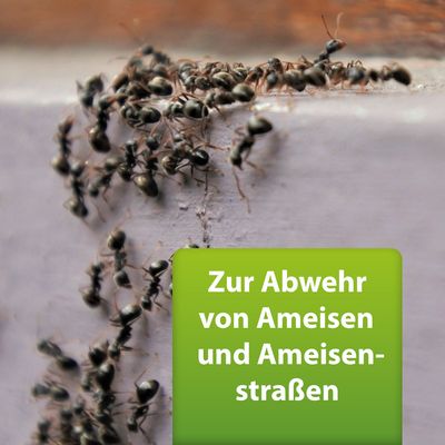 Zur Abwehr von Ameisen und Ameisenstraßen.
