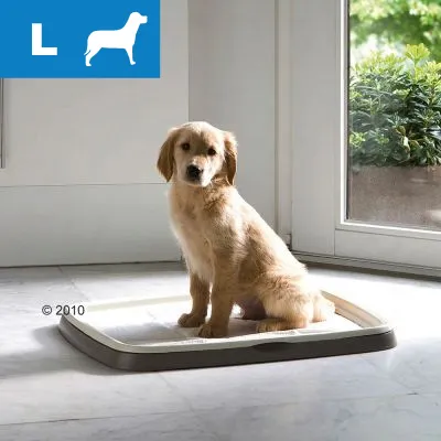 Iso koira istuu muovisella alustalla sisätiloissa. Vasemmassa yläkulmassa sininen L-merkki ja koiran siluetti.