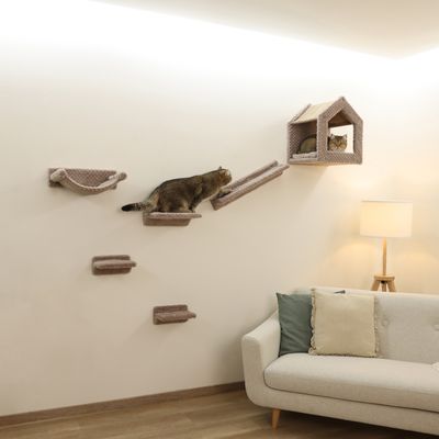 Wandgemonteerd klim- en rustsysteem voor katten met platforms, hangmat, hellingen en huisje. Twee katten gebruiken de elementen in een woonkamer met bank en lamp.