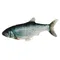 Kerbl Pet Jumping Fish jucărie pentru pisici 1 bucată