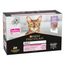 PURINA PRO PLAN Delicate umido per gatto 12 x 85 g Tacchino in mousse
