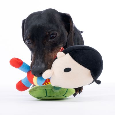 Cane che gioca con un colorato gioco di peluche a forma di personaggio dei fumetti.