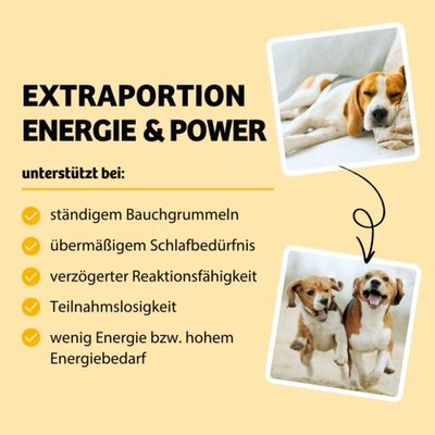 EXTRAPORTION ENERGIE & POWER, unterstützt bei: ständigem Bauchgrummeln, übermäßigem Schlafbedürfnis, verzögerter Reaktionsfähigkeit, Teilnahmslosigkeit, wenig Energie bzw. hohem Energiebedarf.