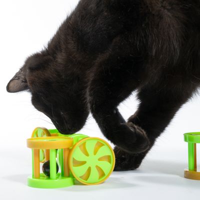 Чёрная кошка играет с зелёно-жёлтой игрушкой из пластика с колёсами и шариком внутри.