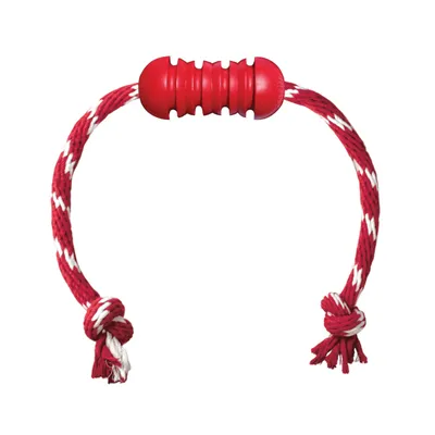 KONG Dental Hundespielzeug mit Seil - ca. L 49 x Ø 3,7 cm (Größe S)
