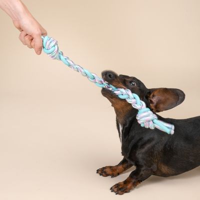 Gioco acquatico per cani TIAKI corda