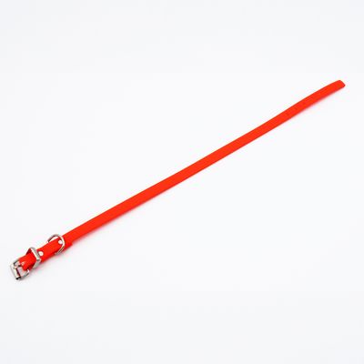 Czerwona obroża z srebrną klamrą i D-ringiem, regulowana za pomocą kilku otworów.