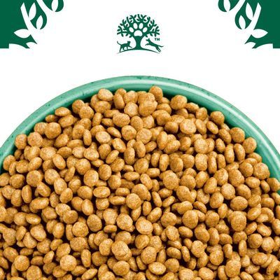 James Wellbeloved Grain Free Adult Cat Hypoallergenic Kalkoen