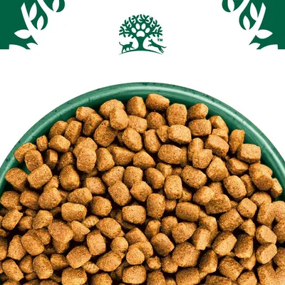 James Wellbeloved Adult Small Breed Dog Hypoallergenic Curcan & orez