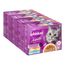 Whiskas 1+ Aromatic Selection 48 x 85 g Mix in salsa