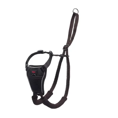 Halti Harness No Pull oprsnica za trening - Velikost M: npr. prinašalec, borderski ovčar