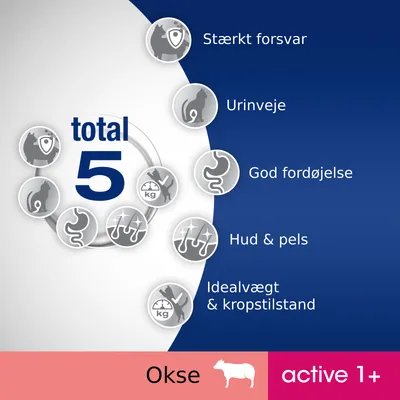 total 5: Stærkt forsvar, Urinveje, God fordøjelse, Hud & pels, Idealvægt & kropstilstand. Okse, active 1+