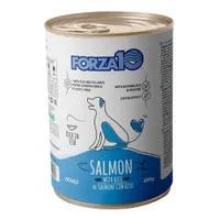Forza10 Maintenance Salmone & Riso - 12 x 400 g