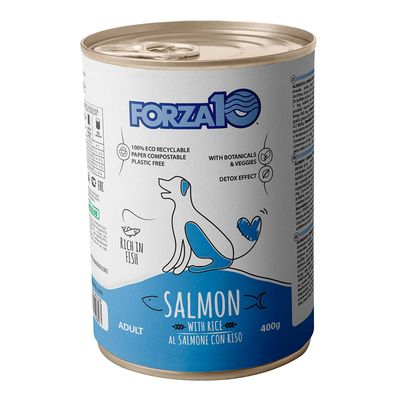 Forza10 Maintenance Salmon & Rice Saver Pack: 24 x 400g