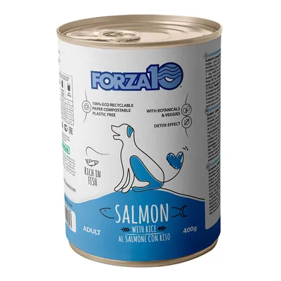 Forza10 Maintenance Salmon & Rice - 12 x 400g Forza10 Maintenance Salmon & Rice - 12 x 400g