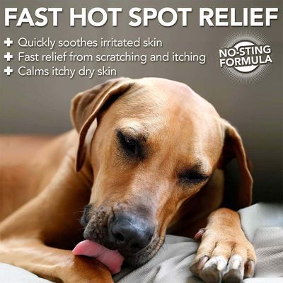FAST HOT SPOT RELIEF: lindrer hurtigt irriteret hud, giver hurtig lindring ved kløe og kradsen, beroliger tør og kløende hud. FORMEL UDEN SVIE.