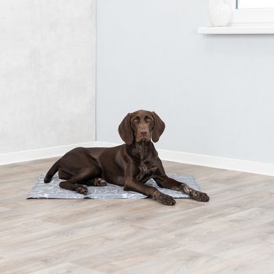 Hund ligger på en grå kylmatta med geometriskt mönster, lämplig för reglering av kroppstemperatur.