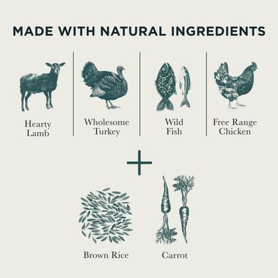 Made with natural ingredients: lamb, turkey, wild fish, free-range chicken, brown rice, and carrot.