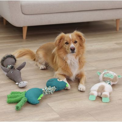 Drie hondenspeeltjes: ezel, groene vogel en schaap van stof en touw op houten vloer.