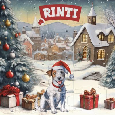 RINTI Chicko adventný kalendár