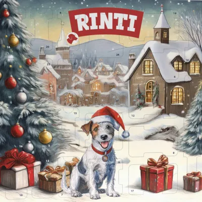 RINTI Chicko adventi naptár - 1 db