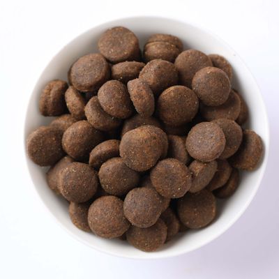 Cuenco con croquetas redondas y marrones de pienso seco. Vista del producto para mostrar la forma y el tamaño del alimento.