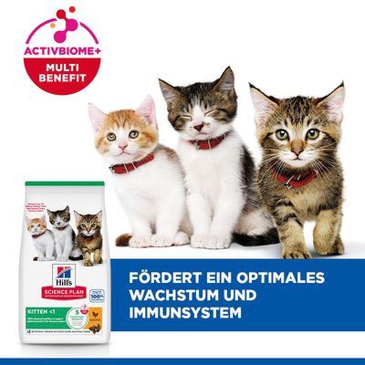 Hill's Science Plan Kitten Huhn - 1,5 kg