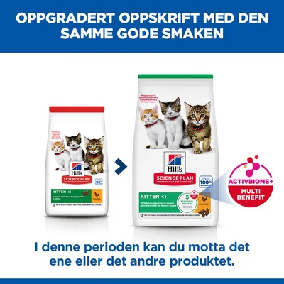 Hill's Science Plan Kitten kylling