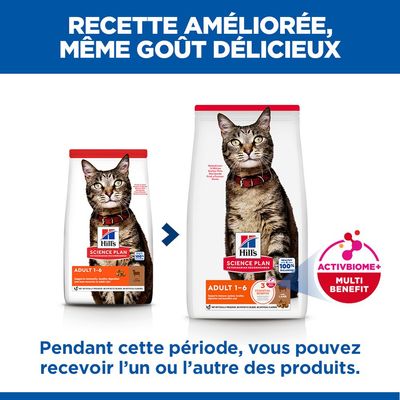 Hill's Science Plan Adult agneau, riz pour chat