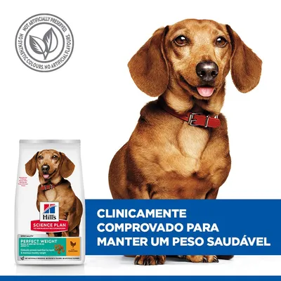 Hill's Science Plan Adult 1+ Perfect Weight Small & Mini com frango - 6 kg