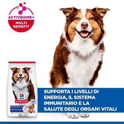 Hill's Science Plan Mature Adult 7+ Medium con Agnello e Riso - 14 kg