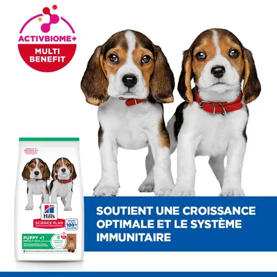 Hill's Science Plan Puppy <1 Medium Agneau, riz - 18 kg