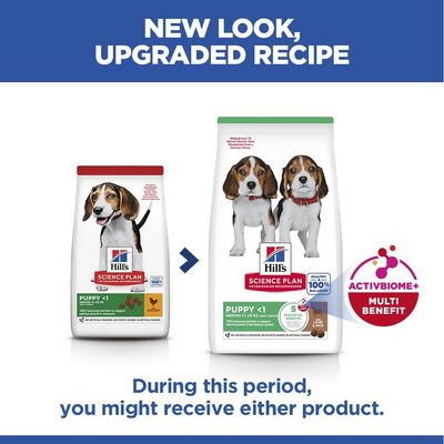 Hill's Science Plan Puppy <1 Medium with Lamb & Rice