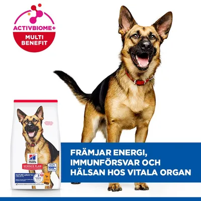 Hill's Science Plan Mature Adult 6+ Large Chicken - 18 kg