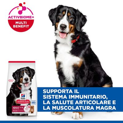 Hill's Science Plan Adult 1-5 Large con Agnello e Riso - 14 kg