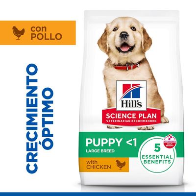 Hill's Science Plan Puppy <1 Large con pollo
