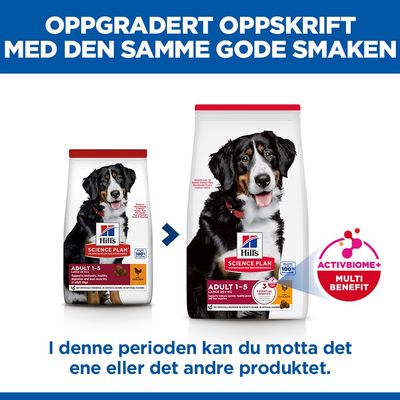 Hill's Science Plan Adult 1-5 Large med kylling