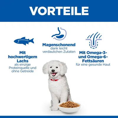 Hill's Science Plan Hypoallergenic Adult Small & Mini mit Lachs - Sparpaket: 2 x 6 kg