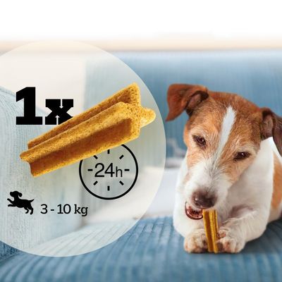 Conseil d’alimentation : 1 bâtonnet par jour pour chien de 3 à 10 kg, texte visible « 1x », « 24h », pictogramme chien et indication de poids.