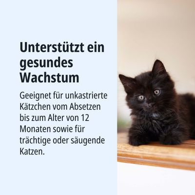Unterstützt ein gesundes Wachstum. Geeignet für unkastrierte Kätzchen vom Absetzen bis 12 Monate sowie für trächtige oder säugende Katzen.