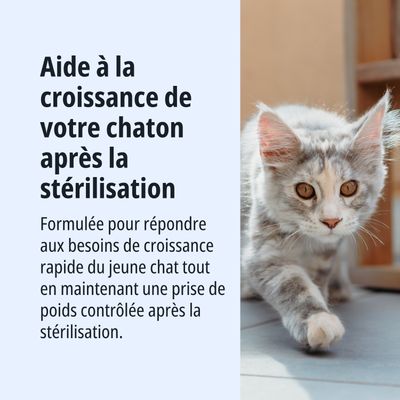 Aide à la croissance de votre chaton après la stérilisation. Conçu pour une croissance rapide et une prise de poids contrôlée après la stérilisation.