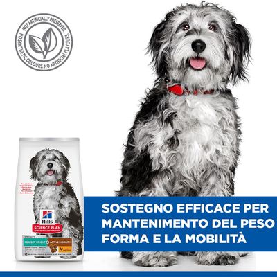 Hill's Science Plan Perfect Weight & Active Mobility con pollo, per cani di taglia media 11-25 kg, Adult 1+, alimentazione clinicamente testata. Senza conservanti e aromi artificiali.