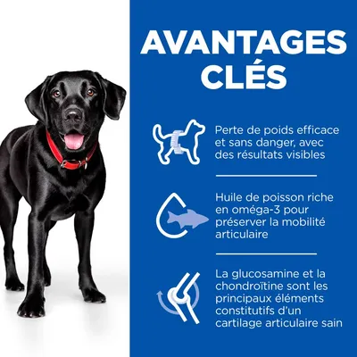 Hill's Science Plan Adult Perfect Weight & Active Mobility Large poulet pour chien - 12 kg